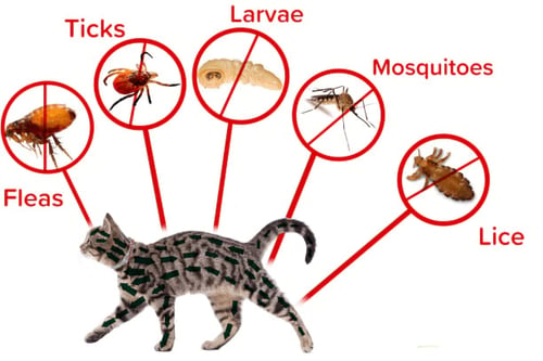 Natural Anti-Flea, Tick, & Mosquito Collar