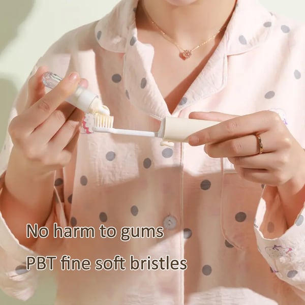 Portable toothbrush set