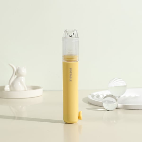 Portable toothbrush set